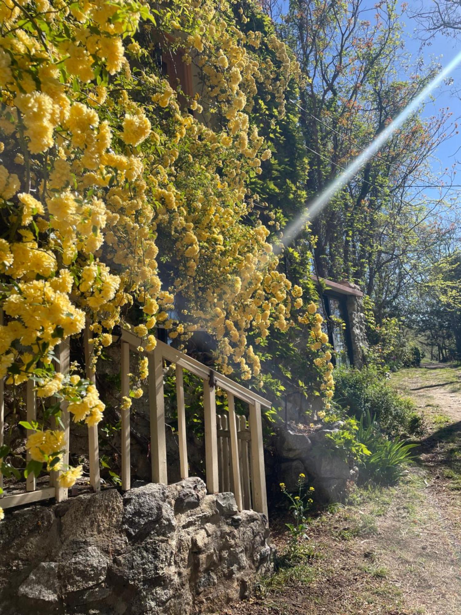 Domaine St Georges Villa Mosset Eksteriør bilde